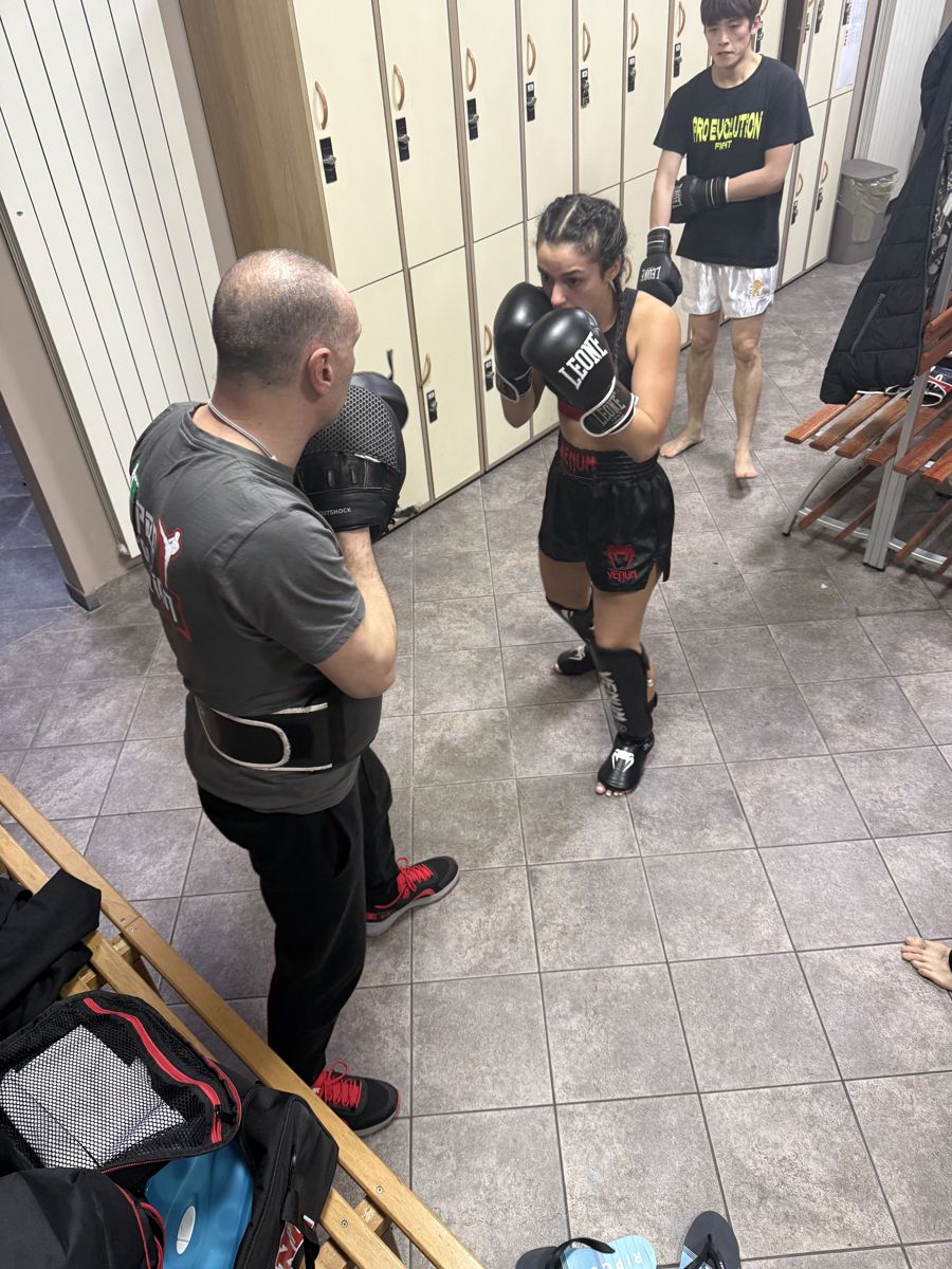 Fighter e gare
