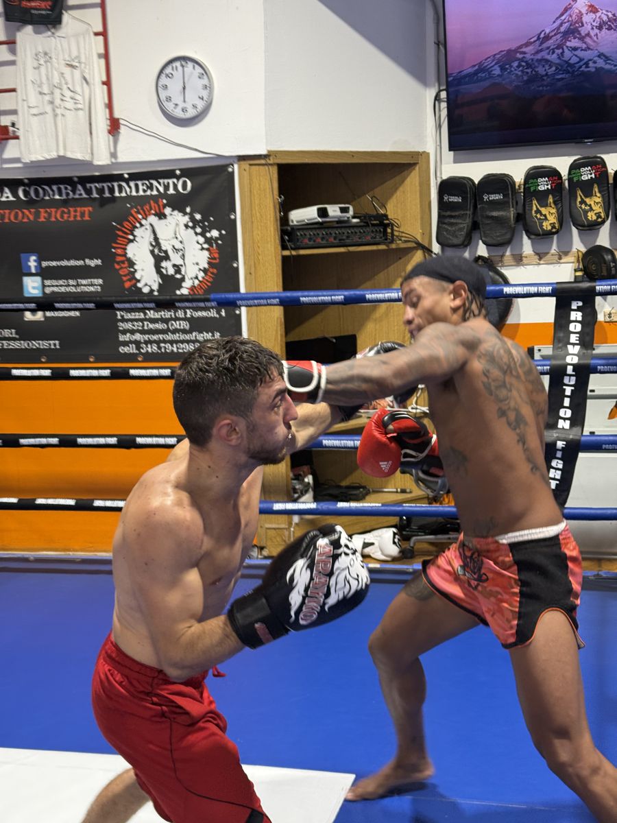 Fighter e gare